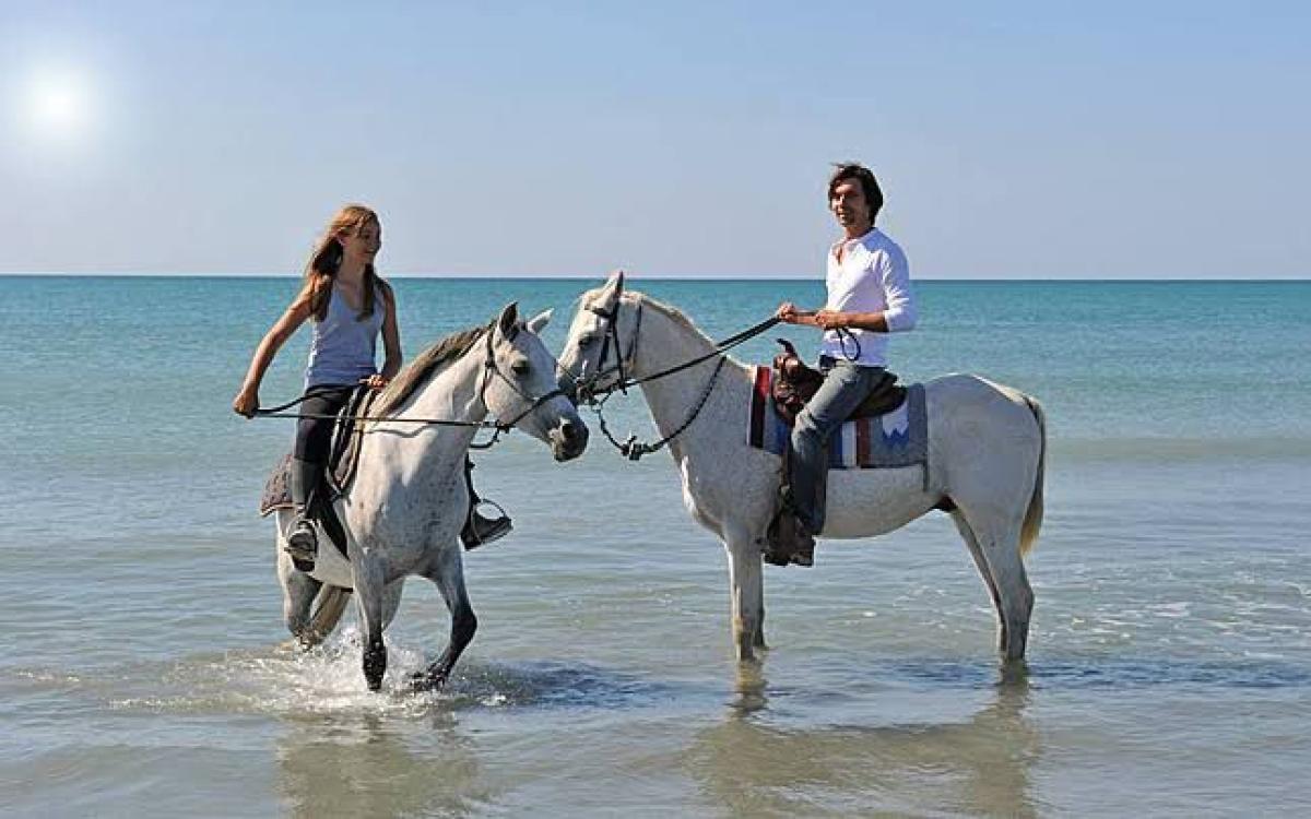 Horse riding in Sharm El Sheikh