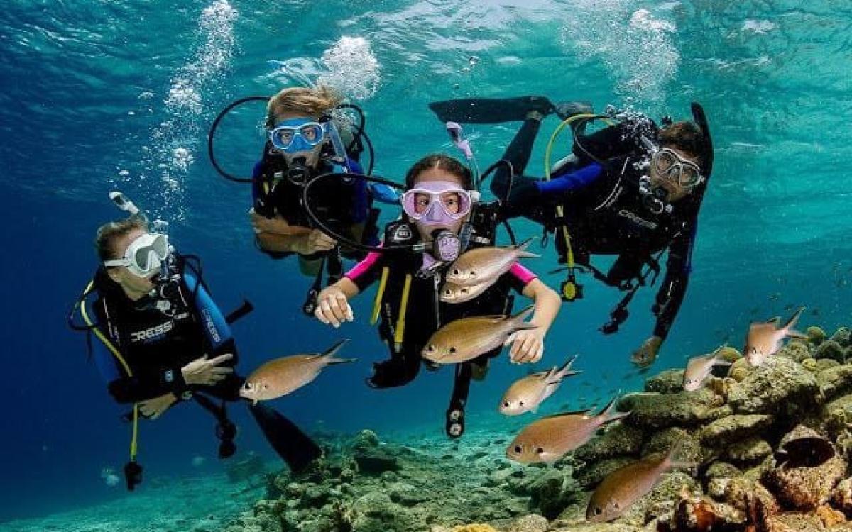Intro Diving from the Beach in Sharm El Sheikh